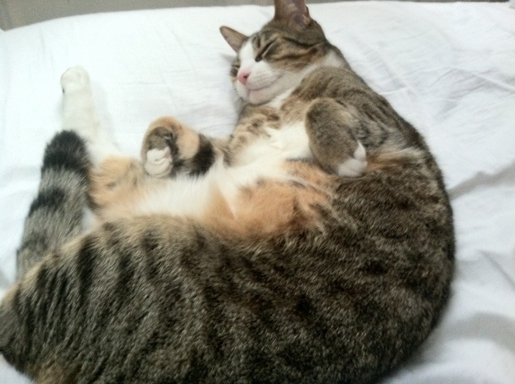 _全景艺体秀:光影盛宴中的运动奇迹_,光影艺术体验展